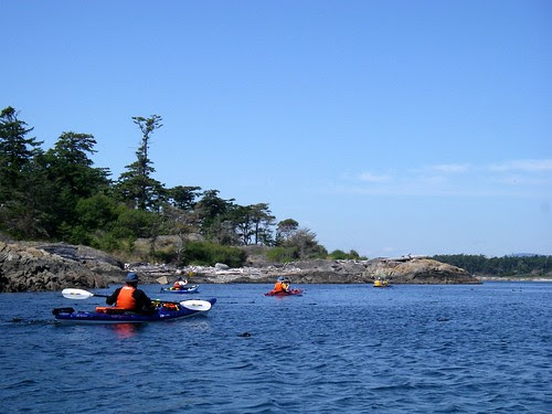 Discovery Island