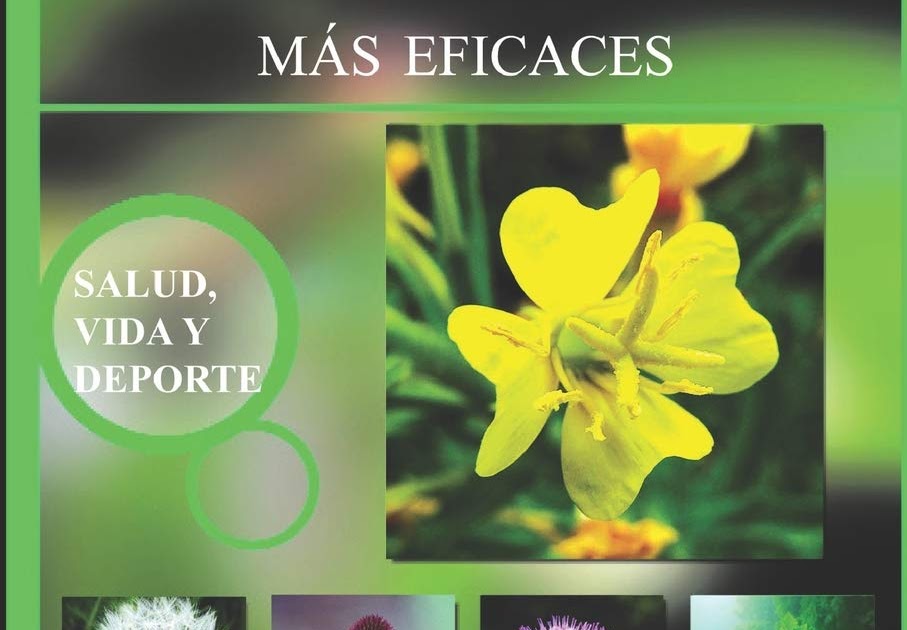 Aníbal Libros Para Todos Las 200 Plantas Medicinales Mas Eficaces Adolfo Pérez Agustí 2516