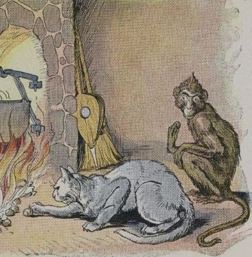 THE MONKEY AND THE CAT
