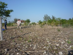 View of a small part of the 13 square km. surface of the Terminal Formative (ca. 100 BC-150 AD) site of El Carrizal, Veracruz