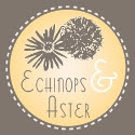 Echinops&Aster