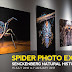 Spider Photo Exhibition at Senckenberg Natural History Museum