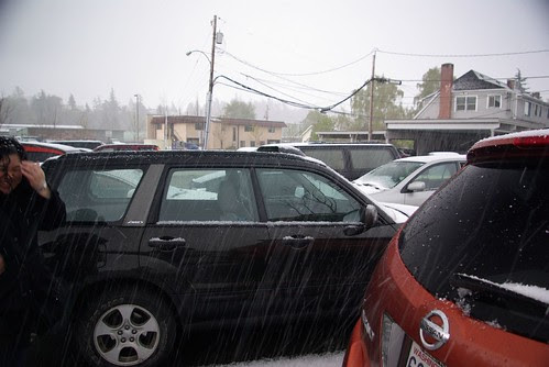 2008-04-19 Sleet Storm in MT Vernon