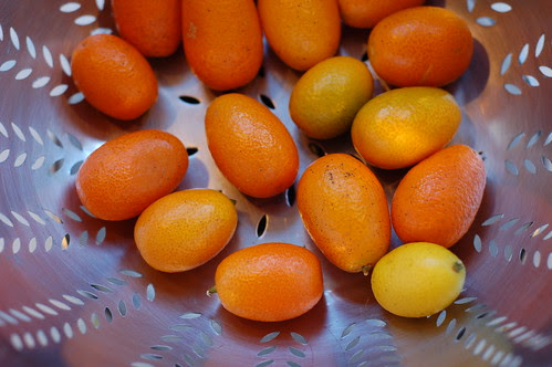 Kumquats by Eve Fox, Garden of Eating blog, copyright 2013