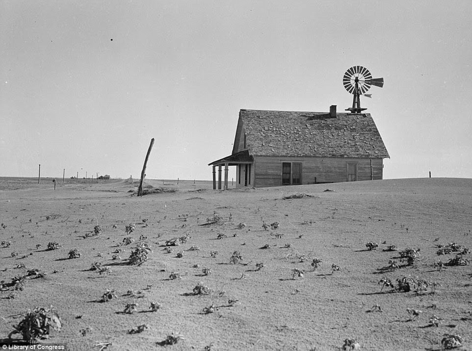 The Great Depression years saw the Dust Bowl farmland erode into wasteland. A solitary but occupied farmhouse stands among withered plants in 1938 in Dalhart, Texas, shot by Lange