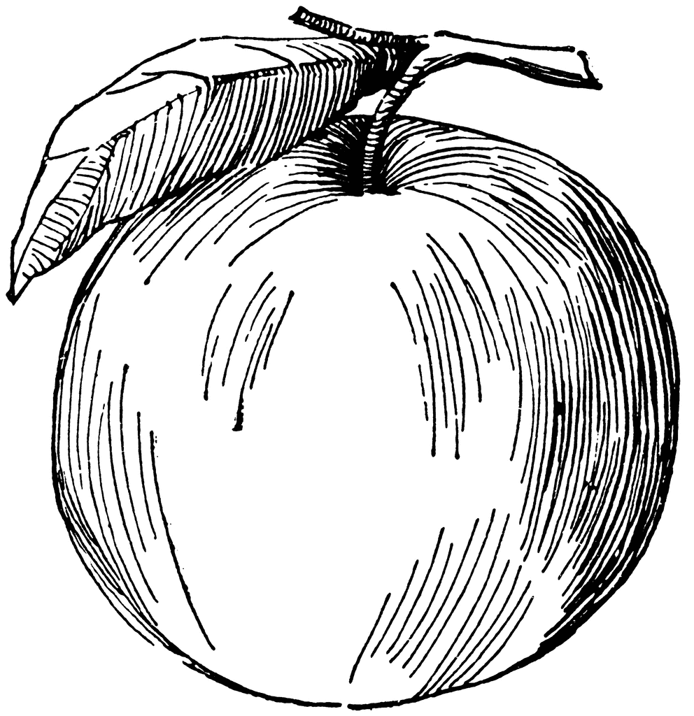 Teacher Apple Clipart