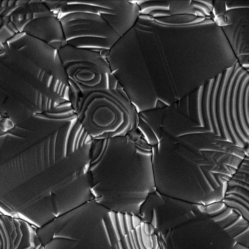 http://upload.wikimedia.org/wikipedia/commons/6/67/Silver_surface_crystal_growth_SEM.png