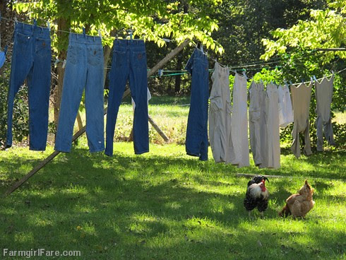 Under the laundry line (1) - FarmgirlFare.com