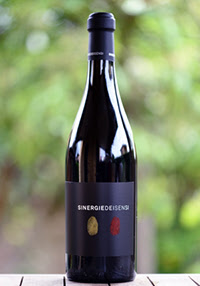 Sinergie dei Sensi Primitivo