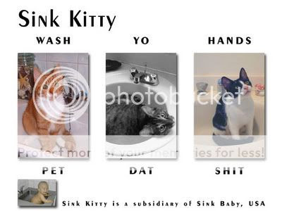 Sink Kitty