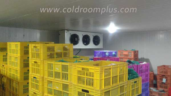 Industrial Freezer Rooms Indurtrial-Freezer-cold-room