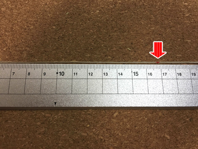 立派な 10 センチ 10 Cm ものさし 実寸 サンセゴメ