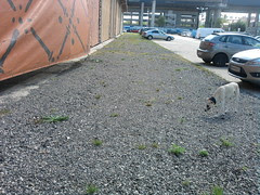 Foto-0025