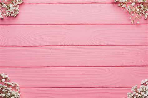 Flower images · Pexels · Free Stock Photos Flower images · Pexels · Free Stock Photos