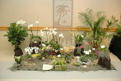 Orchidview Orchids Display