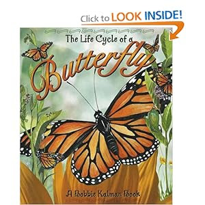 The Life Cycle of a Butterfly [With CD]