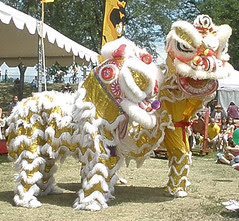 Lion Dance with 2 Lions
