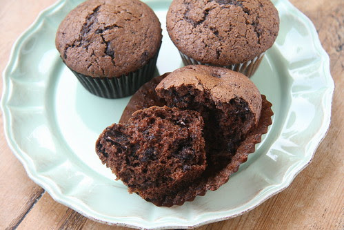 Mocha Muffins with Chocolate Chips (Bon Appetit)