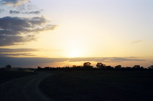sunset of Amboseli