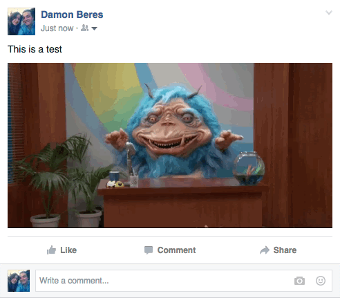 How To Post An Animated GIF On Facebook HuffPost How To Post An Animated GIF On Facebook HuffPost