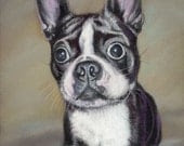 Boston Terrier Dog Art Print - ArtByJulene