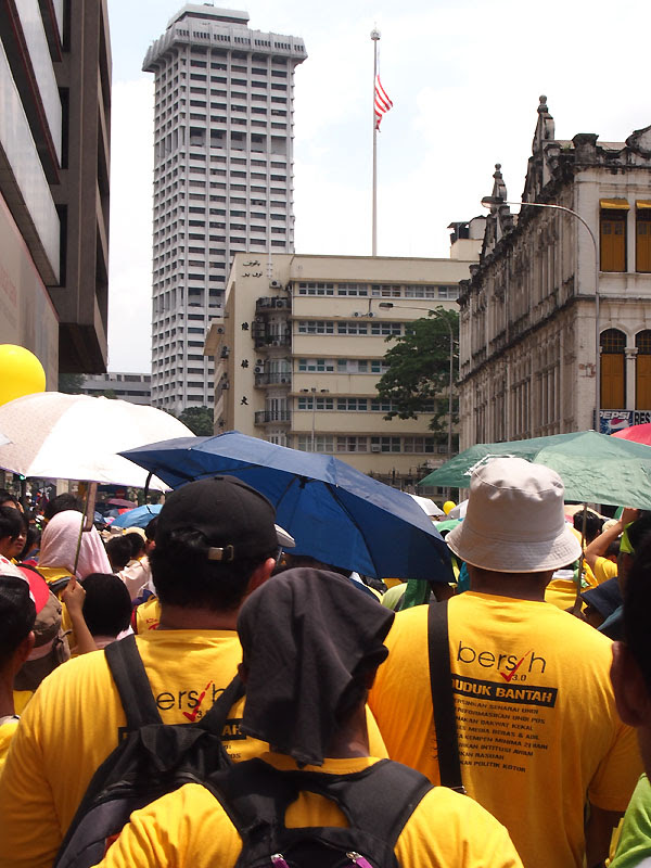 P4282798-w