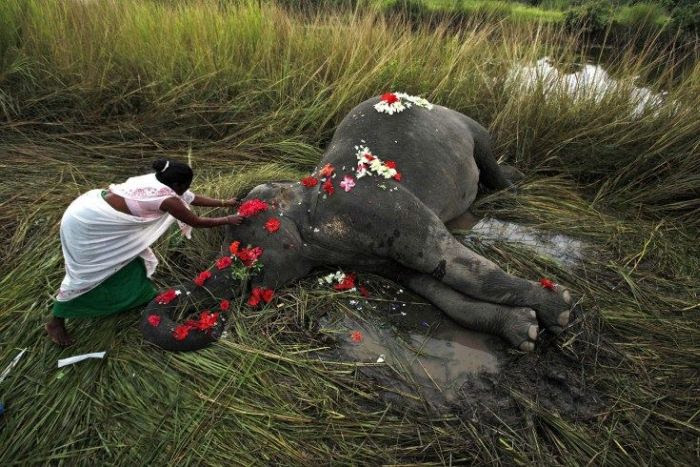 Collection of emotional pictures. Part 19 (51 photos) Collection of emotional pictures. Part 19 (51 photos)