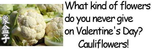 cauliflowers 白色花椰菜 valentines day 情人節 flowers 花