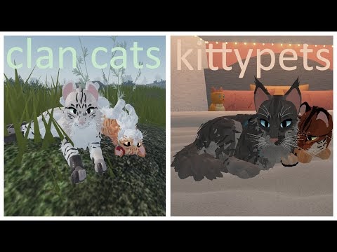 The Best 20 Roblox Warrior Cats Ultimate Edition Oc Ideas - img-rush