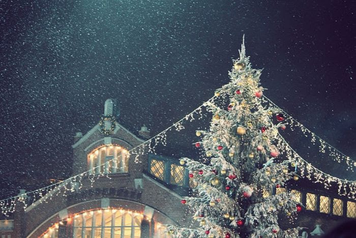 Beautiful Christmas (71 pics) Beautiful Christmas (71 pics)