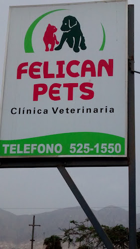 Felican Pets - Comas