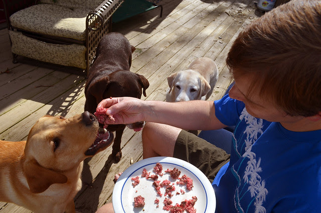 pounceys birthday burger party
