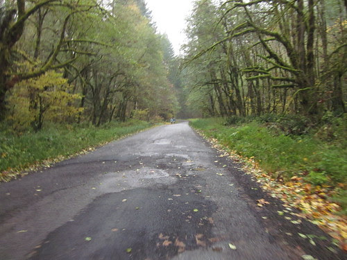 Fern Flat Road