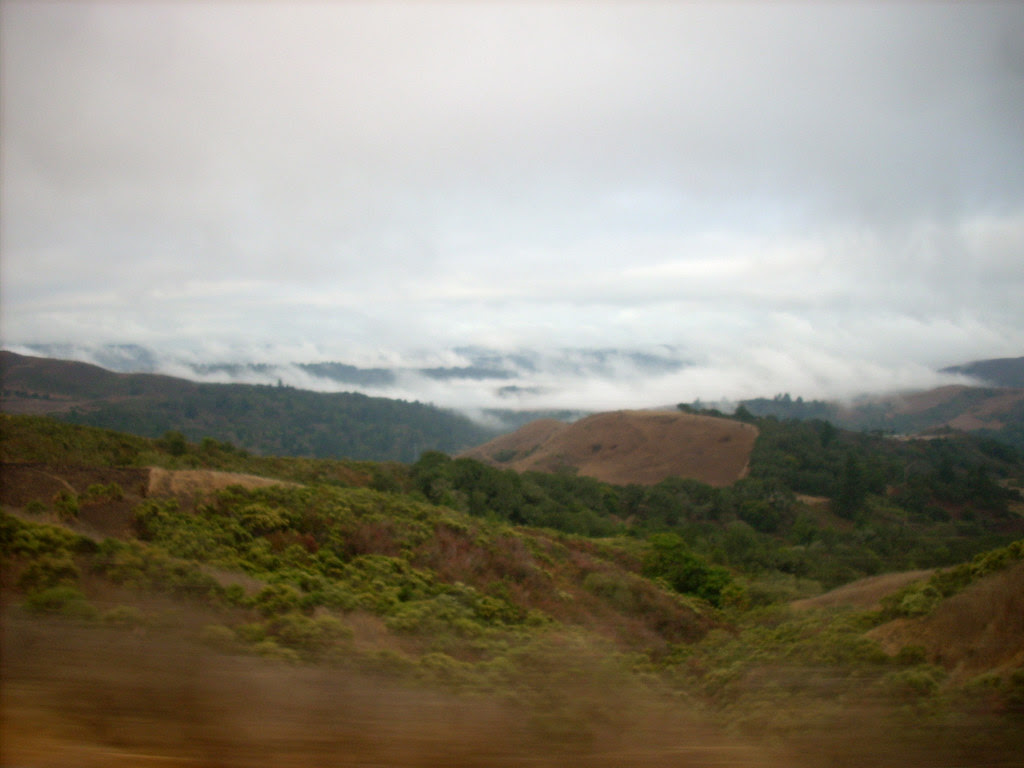 DSCN4313.JPG