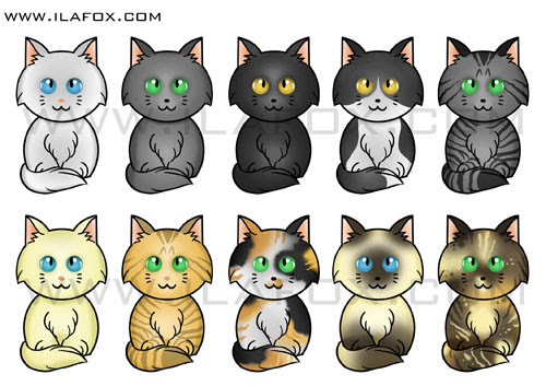 Imã gatinhos para Adote um Gatinho, Ilustração gato branco, azul, cinza, preto, malhado, rajado, creme, amarelo, tricolor, siamês, casca de tartaruga by ila fox