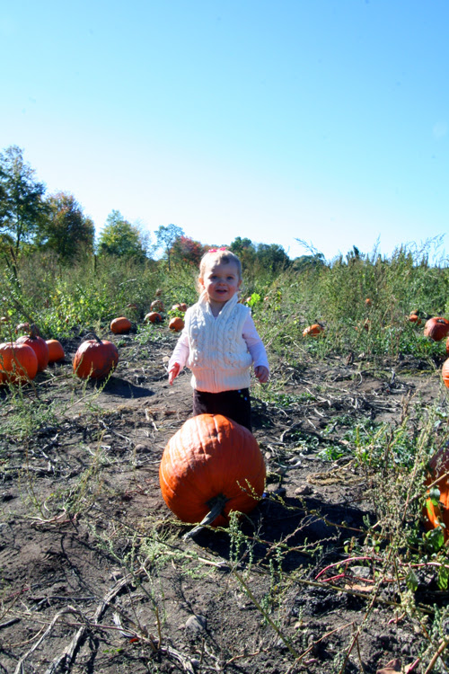 pumpkin1.jpg