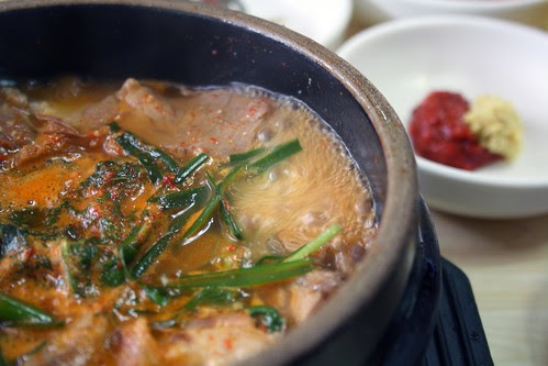 Dog soup