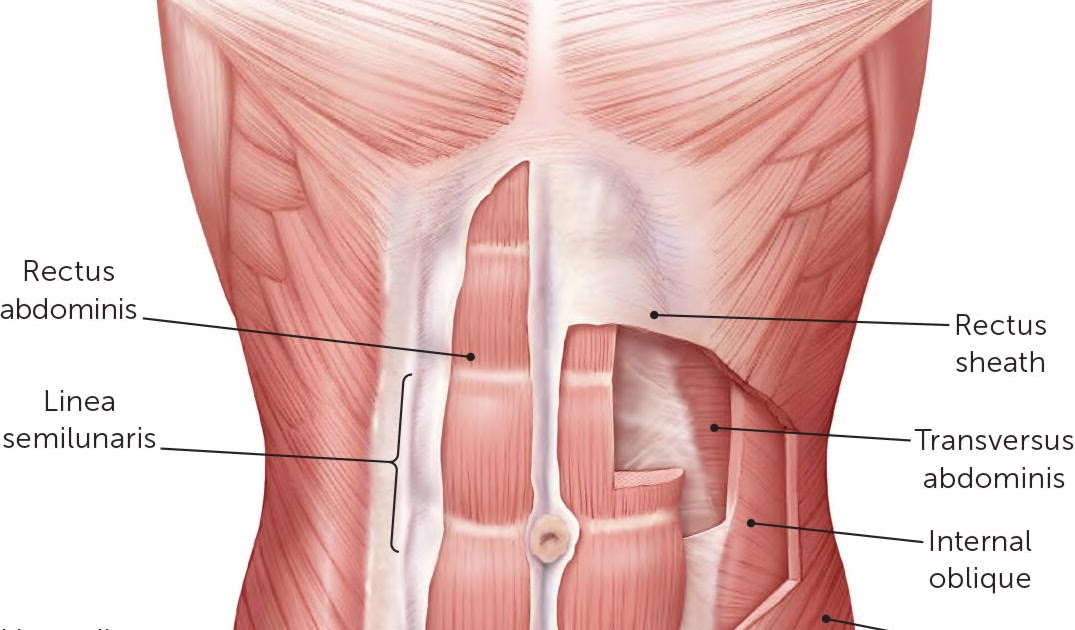 Abdomen hinchado causas