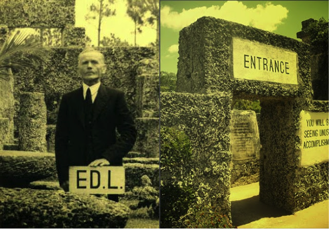 ED L