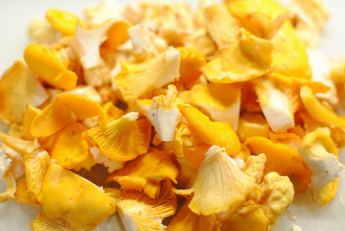 Chanterelle and Chicken of the Woods Mushrooms
