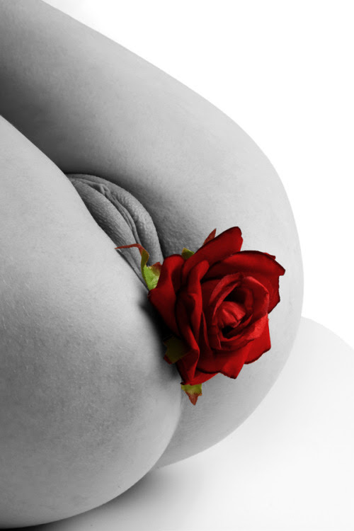 Nos Registrate Ya, GIF y de vídeos: http://cuminthatass.tumblr.com/submit o: o http://twitter.com/CumInThatAss: cuminthatass@gmail.com o enviarme un mensaje: http://cuminthatass .tumblr.com / venta Gracias. <3