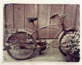 Polaroid transfer Bicycle original - jalinde