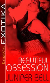 Beautiful Obsession Cover