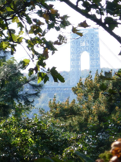 From an Autumn Walk in Upper Manhattan