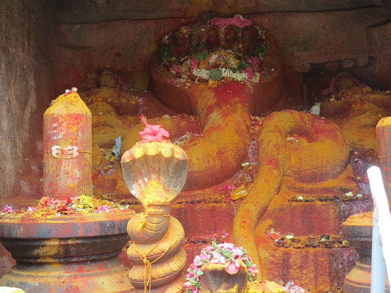 படிமம்:Thiruchengodu Arthanareeswarar Temple-Adhiseshan.jpg