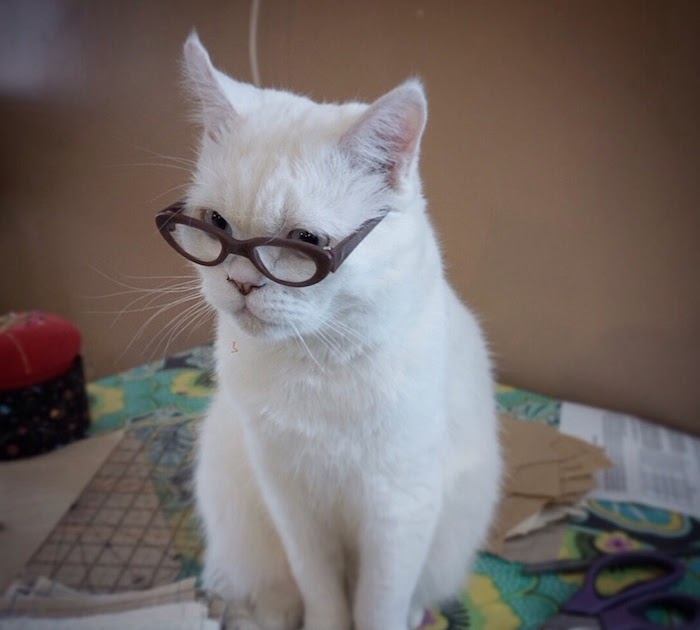 39 Katzenbilder Zum Kopieren Besten Bilder Von Ausmalbilder