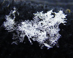 Flakes