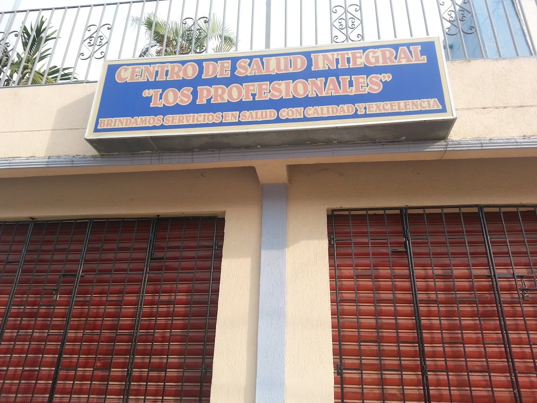 Centro de Salud Integral, LOS PROFESINALES