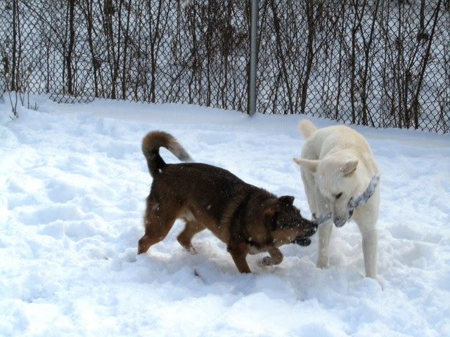 Dec. 7-the boys