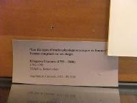 Free Image Hosting at www.ImageShack.us